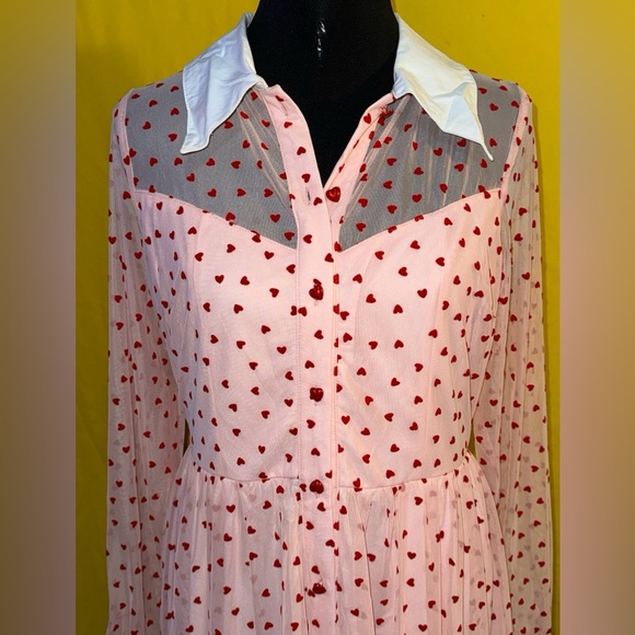Unique vintage heart polka dots mesh dress - Picture 3 of 9